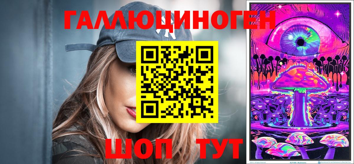 Псилоцибиновые грибы Psilocybine cubensis Волгоград