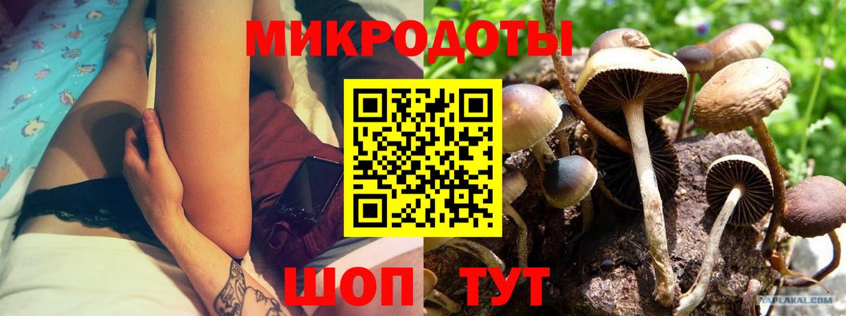 Псилоцибиновые грибы прущие грибы  Вход с VPN  Волгоград 